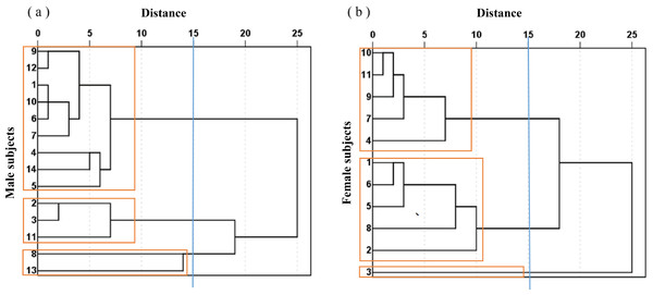 Cluster analysis tree diagram of subjects.