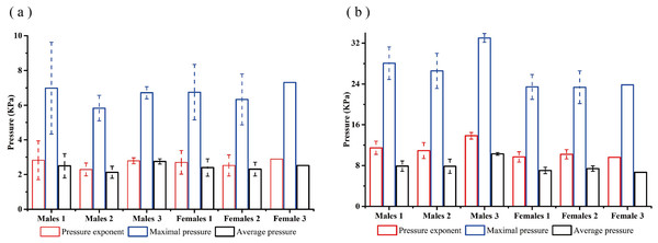 (A) The pressure index of human-chair backrest interface; (B) the pressure index of human-chair seat pan interface.