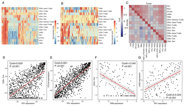 Expression patterns of inhibitory receptors on CD4+/CD8+ T cells.