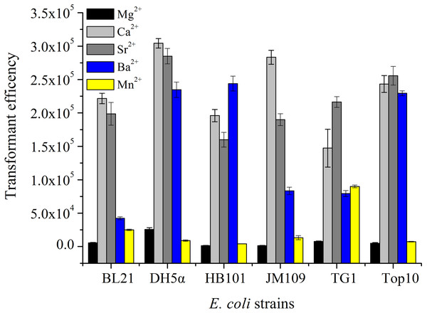 The transformation efficiency of E. coli strain treated by different divalent metal ions.