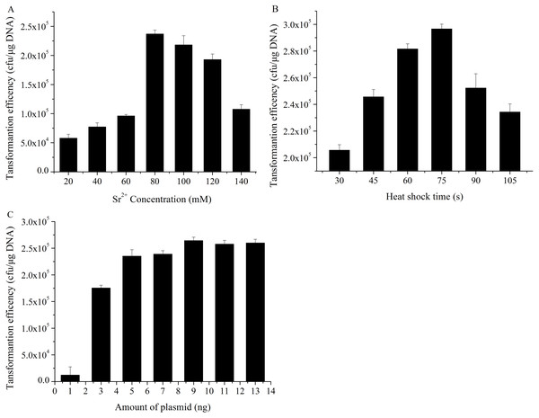  Transformation efficiency affected by the different various factors.