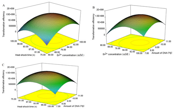Three-dimensional response surface and contour plots of transformation efficiency against Sr2+ concentrations, heat-shock time and the amount of plasmid.