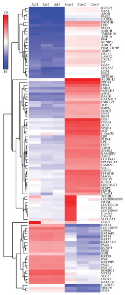 Heat map of top 100 DEGs.