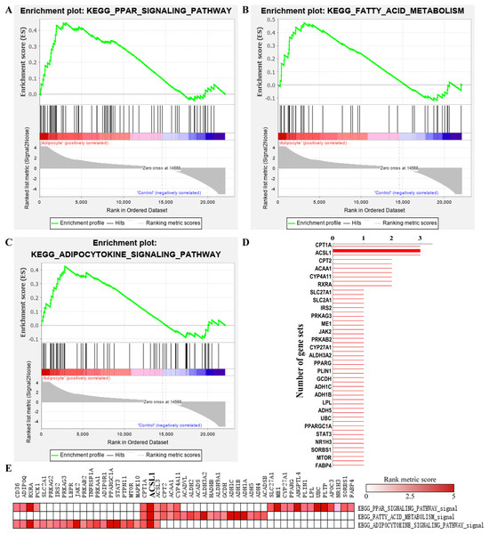 GSEA analysis of GSE107789 highlighted ACSL1 as candidate gene.