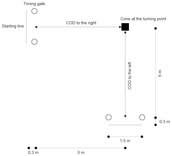 Layout of the 90° change of direction (COD) test.