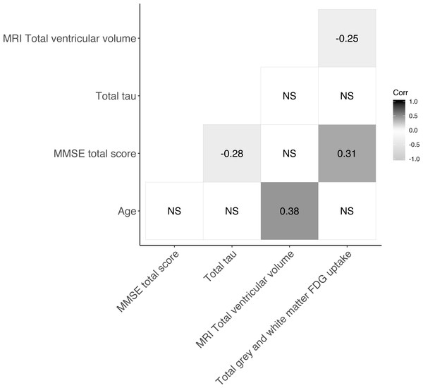 Correlogram showing Spearman correlations of markers of neurodegeneration.