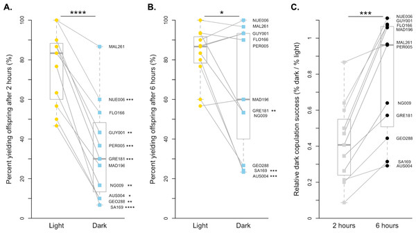 Copulation success of 11 D. simulans strains by treatment and time point.