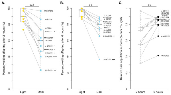 Copulation success of 11 D. melanogaster strains by treatment and time point.