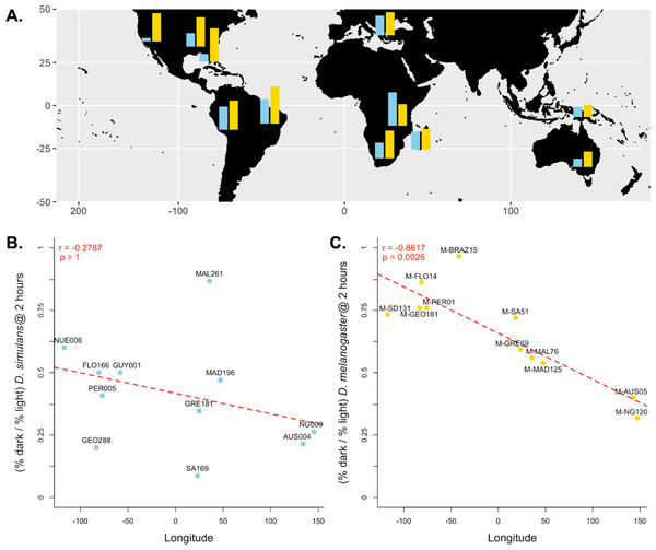 Differences in dark courtship ability correlate with longitude in D. melanogaster but not D. simulans.