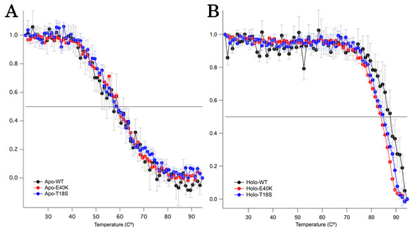 Thermal denaturation curves of (A) apo- and (B) holo- canine SOD1.