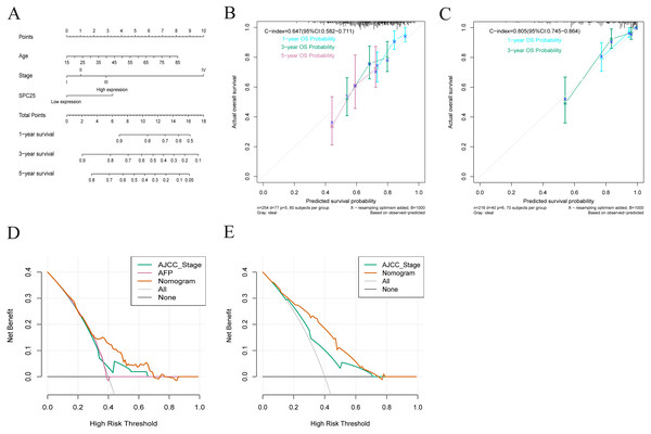 Nomogram for overall survival, calibration plots of the nomogram, and decision curve analysis of nomogram and American Joint Committee on Cancer (AJCC) staging system.