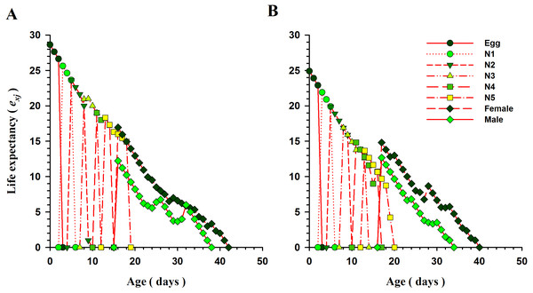 Age-specific life expectancy (exj) of O.strigicollis offered with whiteflies species.