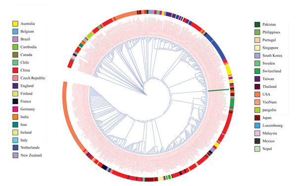 Phylogenetic tree analysis of 475 complete genomes of SARS-CoV-2 based on full genome nucleotide sequences using the UPGMA.