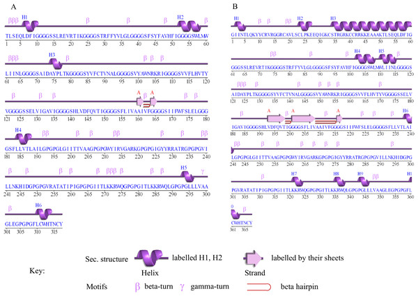 Secondary structure of multi-epitope vaccines designed against SARS-CoV-2.