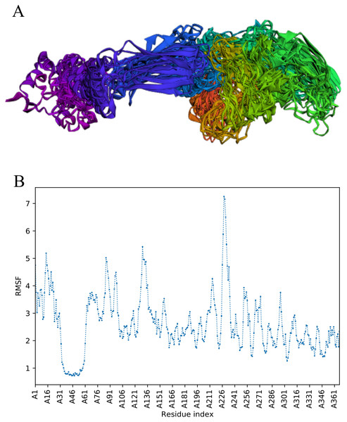 Trajectory analysis of Cov-II-Vac using CABS-flex analysis.