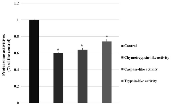 The proteasome activity was decreased by VPS28 knockdown.