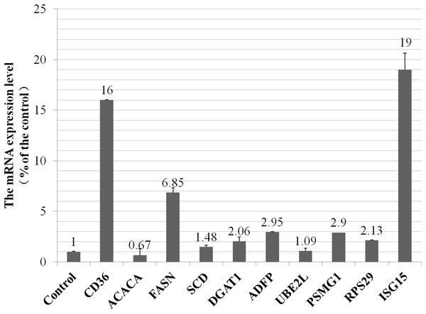 The mRNA expression of selected genes in VPS28 knockdown BMECs.