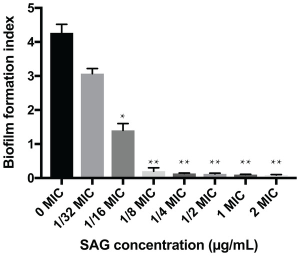 Inhibitory effects of SAG on the biofilm formation of P. rettgeri.
