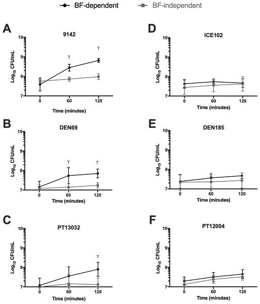 Growth kinetics (Log10 CFU/mL) of Brc in the presence or absence of the originating biofilms, under agitation (120 rpm) in (A–C) S. epidermidis ica+ isolates or (D–F) S. epidermidis ica− isolates.