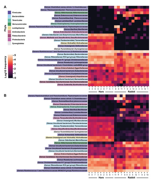 Faecal microbial diversity of Australian wild hares and rabbits at the family level identified unique profiles for wild hares and rabbits.