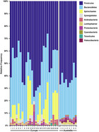 Uncovering the microbiome of invasive sympatric European brown hares ...