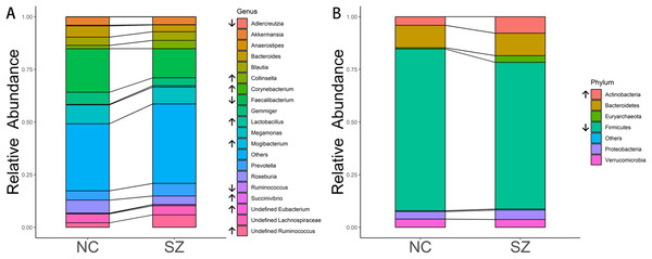Microbial composition at phylum and genus levels.