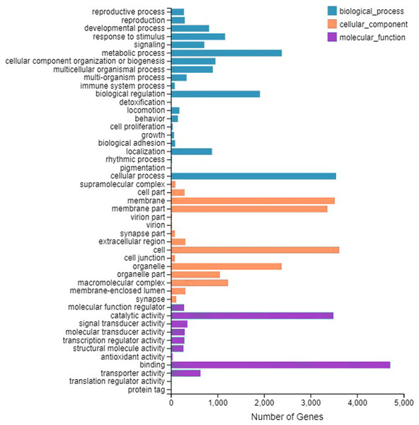 Gene Ontology (GO) classifification analysis of the A. grahami antennal different expression genes.