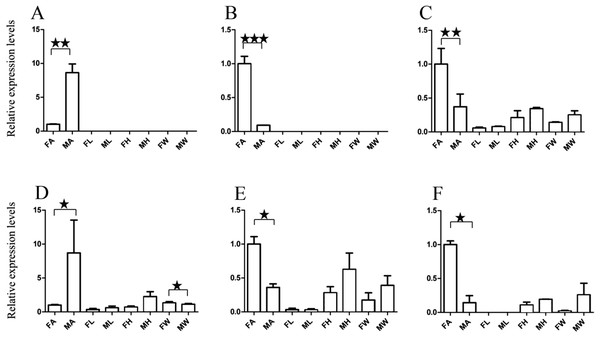 Relative expression levels of A. grahami ORs genes.