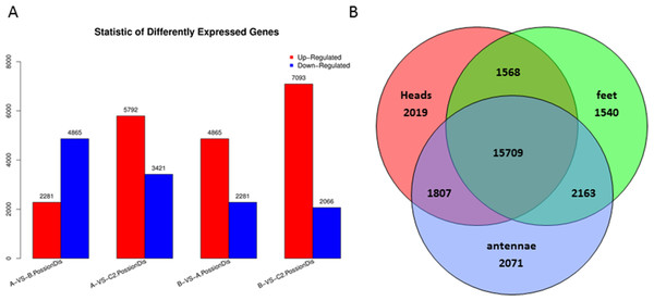 Differentially expressed genes (DEGs) in P. akamusi.