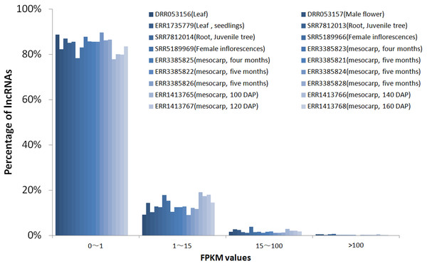 FPKM values distribution of lncRNA loci in 18 oil palm transcriptomes.