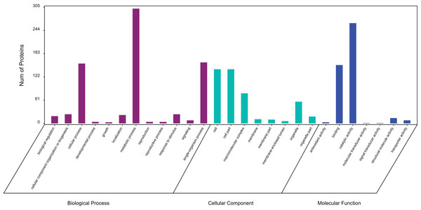 Gene ontology (GO) classification of exudate components from Cercospora armoraciae.