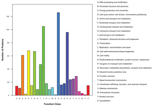 Distribution of COG/KOG functional classes of exudate proteins from Cercospora armoraciae.