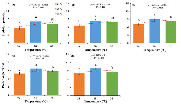 Feeding potential of the predatory stages of the O. strigicollis at three different temperatures (24 °C, 28 °C and 32 °C) on P. gossypiella eggs after 24 h.