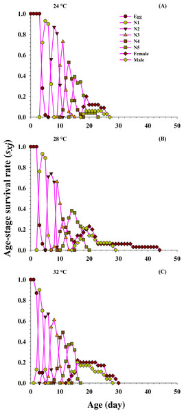 Influence of three different temperatures ((A) 24 °C, (B) 28 °C and (C) 32 °C) on the age-stage-specific survival rate (sxj) of the O. strigicollis.