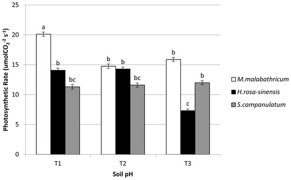 Photosynthetic rate of slope plants grown in differing soil pH.