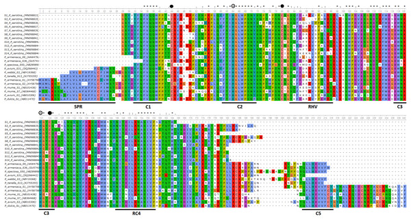 Alignment of the deduced amino acid sequences of P. serotina S-RNases with S-RNases reported for different Prunus species.