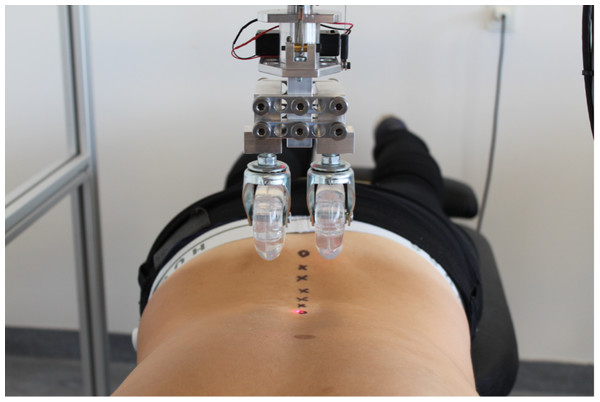The Vertetrack with contact rollers and trajectory points.
