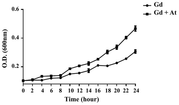 G. diazotrophicus growth increases in response to cocultivation with A. thaliana seedlings.