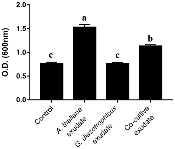 A. thaliana exudates that increase G. diazotrophicus growth are produced constitutively.