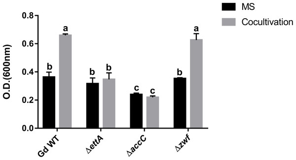 Reverse genetics revealed G. diazotrophicus genes involved with response to A. thaliana cocultivation.