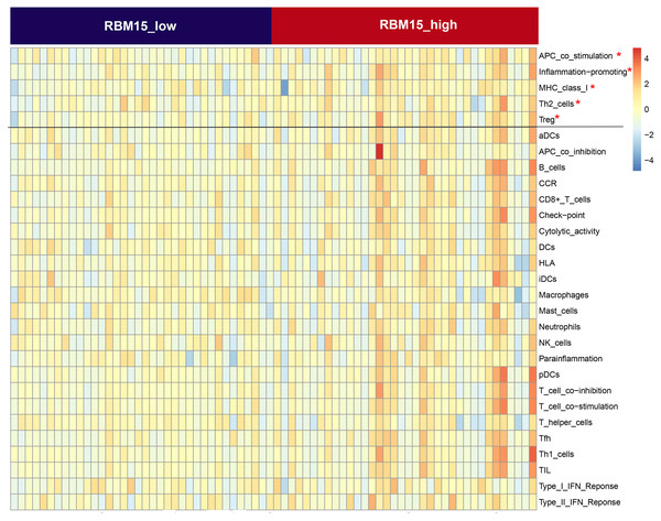 Comparison of the groups with high and low RBM15 expression in terms of 29 immune signatures.