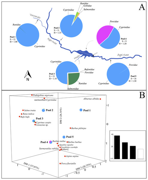 Variation of otter diet diversity and relatedness in the five types of watercourses.