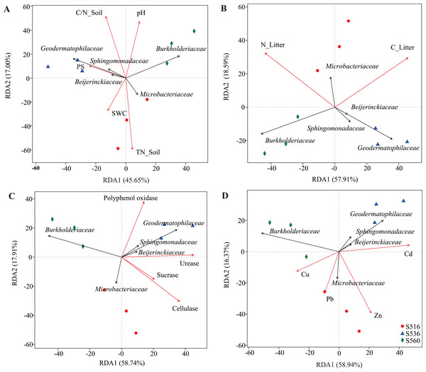 Bacterial community characteristics and enzyme activities in Imperata ...