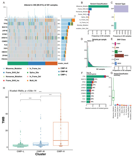 Genome‐wide identification of CpG island methylator phenotype related ...