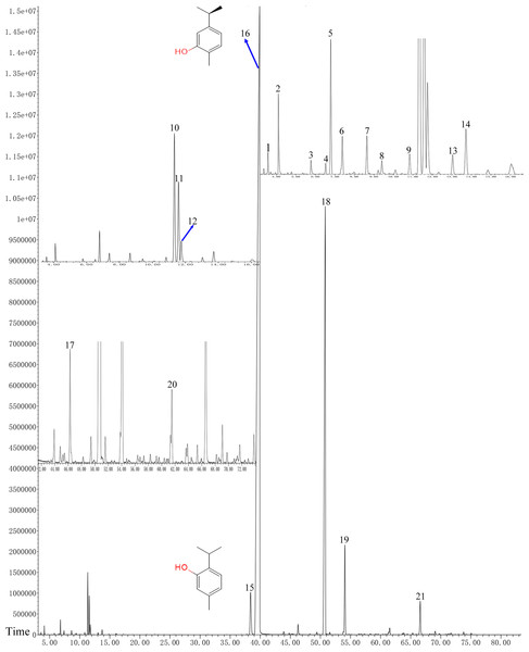 GC-FID chromatogram of OVEO by an HP-5MS column.