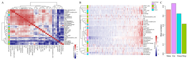 The correlations of immune-related scoring system based on ESTIMATE algorithm with other categories of scores among CSCC samples.