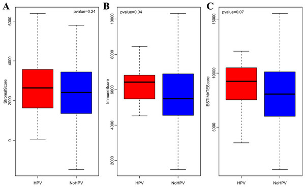 StromalScore (A), ImmuneScore (B) and ESTIMATEScore (C) distribution among CSCC patients with or without HPV infection.