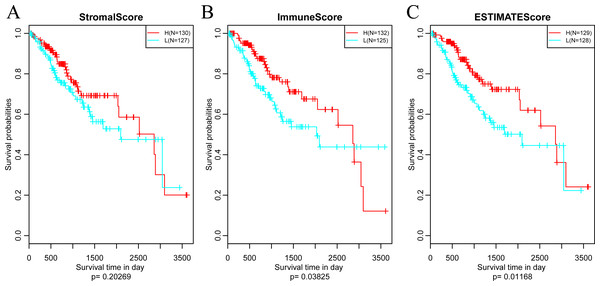 The relationships between levels of StromalScore (A), ImmuneScore (B) or ESTIMATEScore (C) and prognosis for CSCC patients.