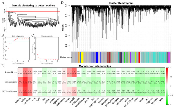 Immune scores-related gene modules mined through WGCNA.