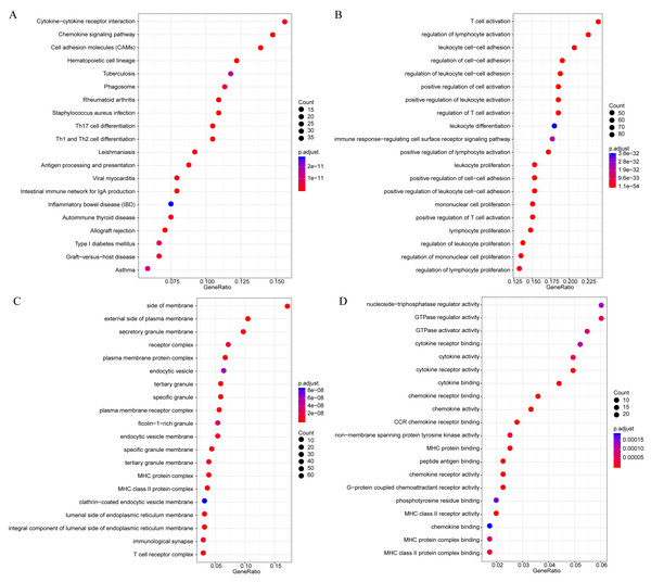 The KEGG pathway and GO enrichment analysis of the genes in yellow module.